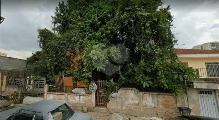 AMPLO TERRENO SA SANTA TERESINHA