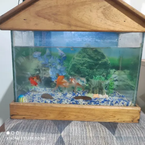Aquário de peixe
