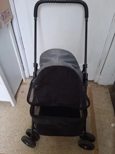Carinho pra pet