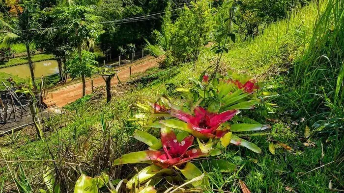 Chácara com 1 dormitório à venda, 5 m² por R$ 275.000 - Redencao - Redenção da Serra/SP