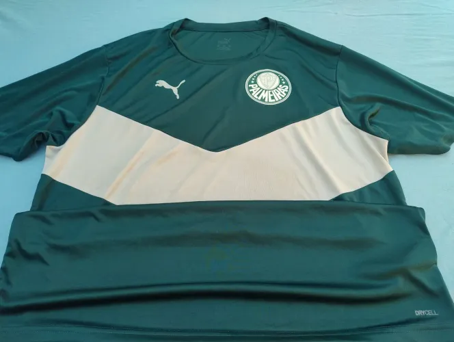 Camisa do palmeiras gg