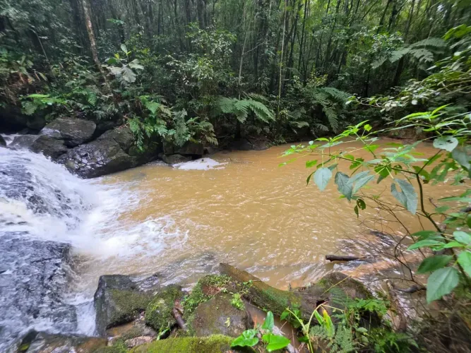 Terreno com acesso a cachoeira em Juquitiba