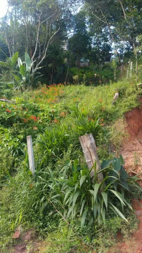 Terreno 