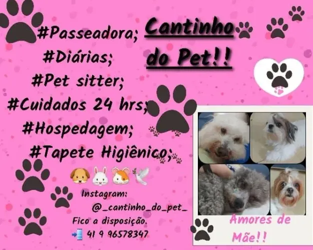 Hospedagem e Tapete higienico