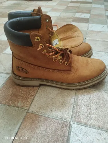  Bull Terrier Adventure Sports n40