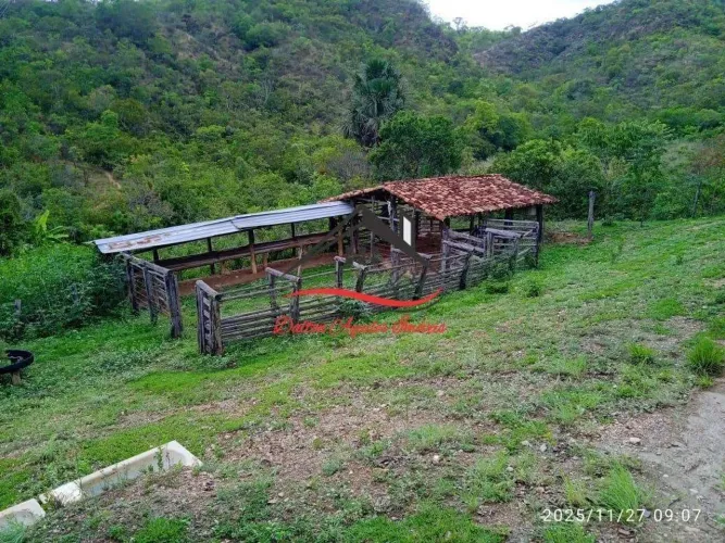 Fazenda para Venda - 62 Hectares - Senador Mourão, Diamantina/MG.