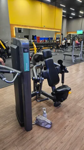 Biceps máquina Lifefitness 