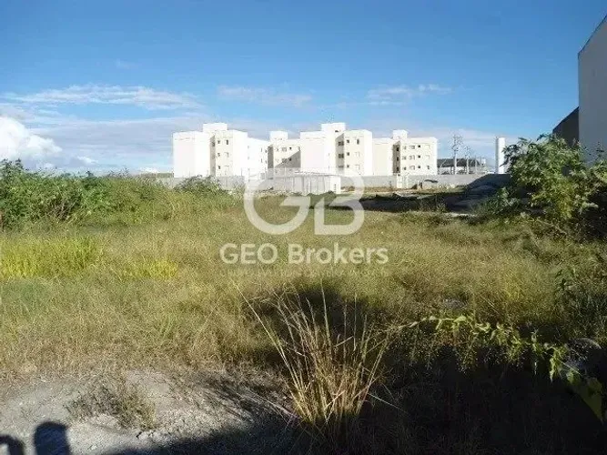 Área em excelente localização rua asfaltada com toda infraestrutura à venda - Código 17840