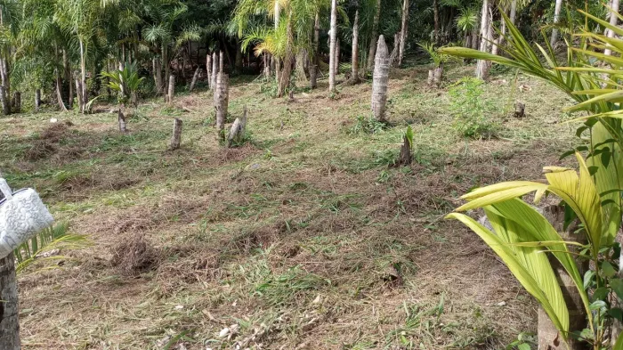 Terreno 20 de frente por 25 de comprimento 500 metros por 37,000