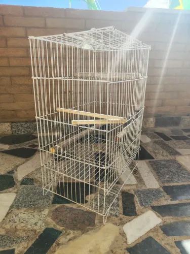Gaiola para pássaro