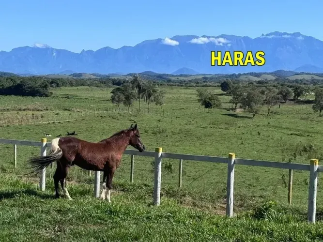 Barrozo Imóveis - Haras a venda com 11.7 ha com vista deslumbrante.