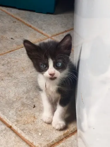 Vc me aceita em sua casa?