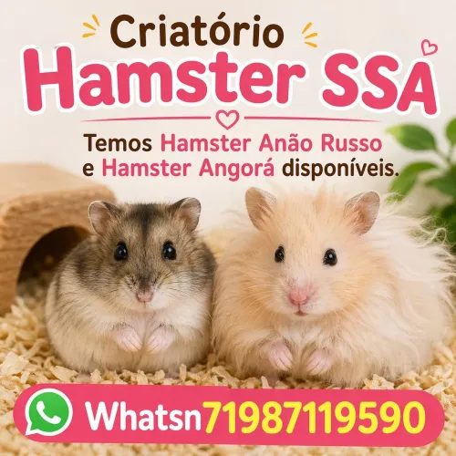CRIATÓRIO DE HAMSTER