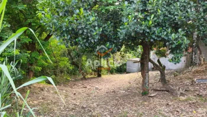 Terreno à Venda em Novo Horizonte, Serra/ES | 200m² | Excelente Oportunidade