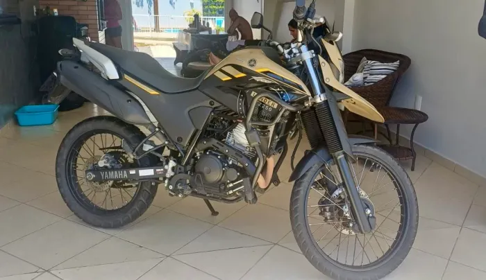 Yamaha/XTZ250 LANDER