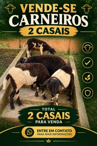 Casal de Carneiros