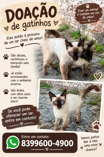 Adoção