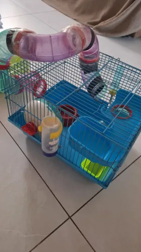 Gaiola hamster