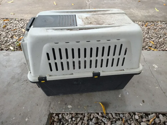 Caixa de transporte de animais grande