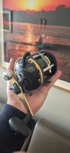 Carretilha Daiwa