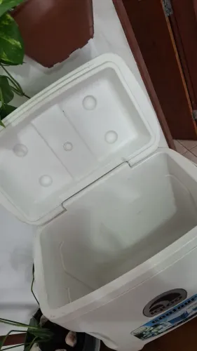 Cooler Igloo 28L