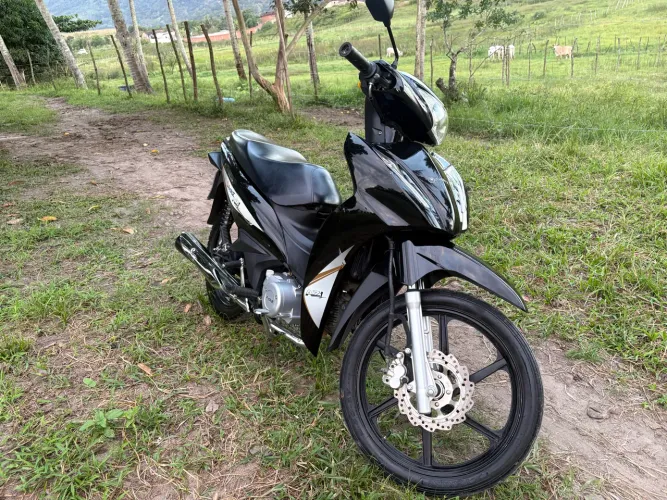 Avelloz 2023 50cc