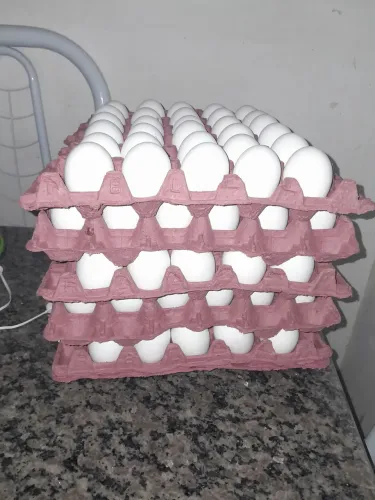 FORNECEDORA DE OVOS, VENDE OVOS NO ATACADO E VAREJO, fazemos entregas acima de 3 caixas.