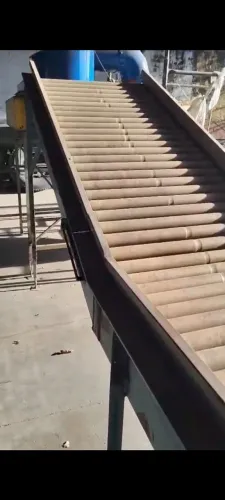 Máquina beneficiadora de cebola