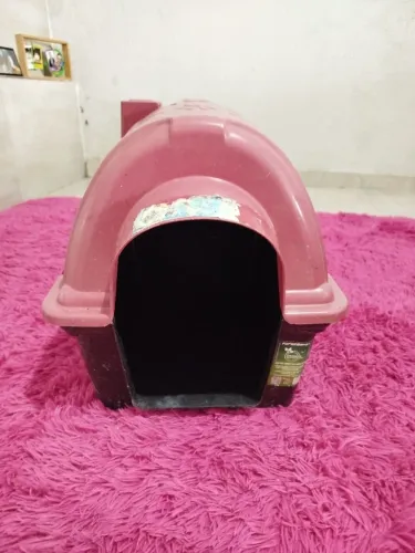 Casinha PET