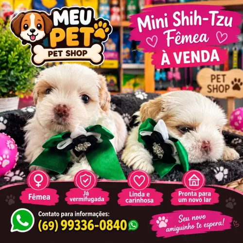 Linda fêmea *