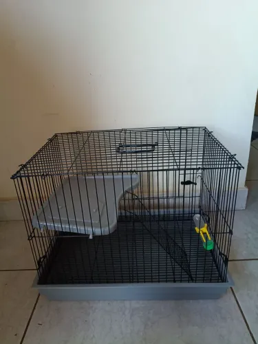Cercado para ramister ou preá 