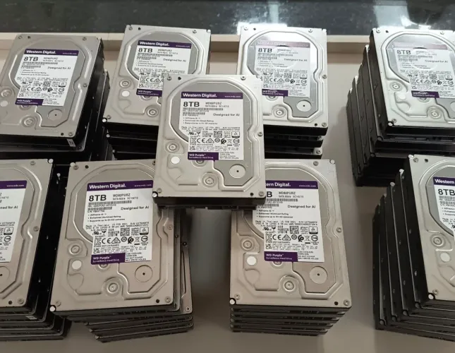 HD 8TB Sata Purple