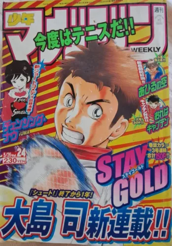Revistas Weekly Shonen Magazine Japonesa Mangá ano 2004 número 24