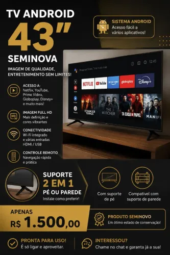 Televisão