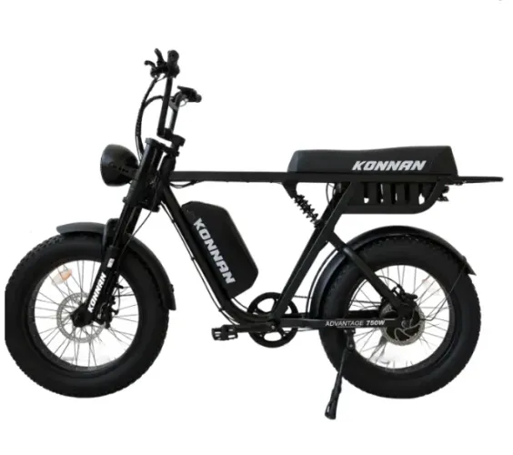 BICICLETA ELETRICA750W