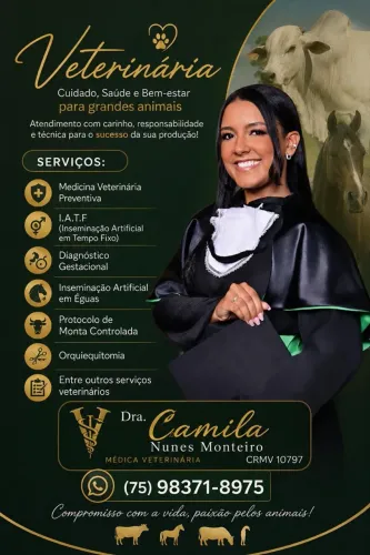 Ultrassonografia veterinária