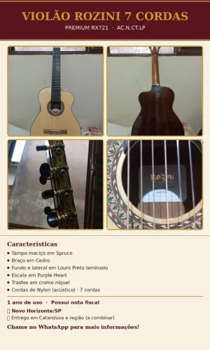 Violão rozini