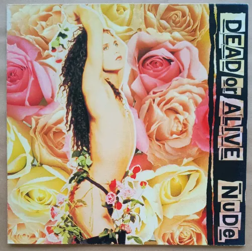 LP's Dead Or Alive, Supla, Black Box, Legião Urbana e Raul Seixas - Discos de Vinil