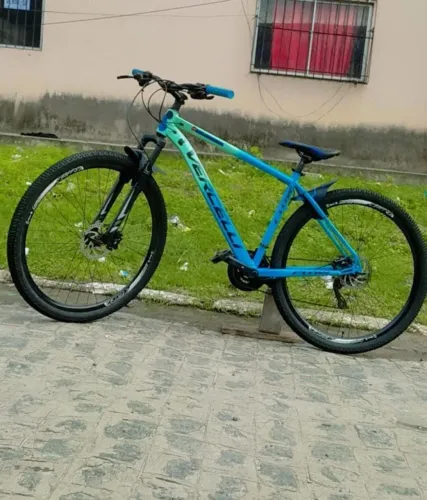 Bicicleta Aro 29 Com Freio Hidráulico 