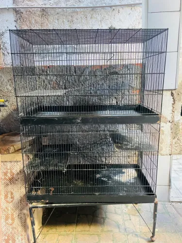 Gaiola multi uso 2 andares