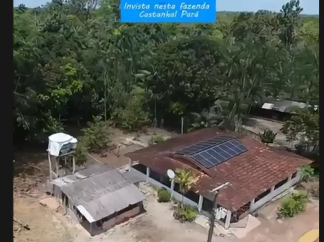VENDO FAZENDA 25 hectares ,  BR 316 CIDADE CASTANHAL