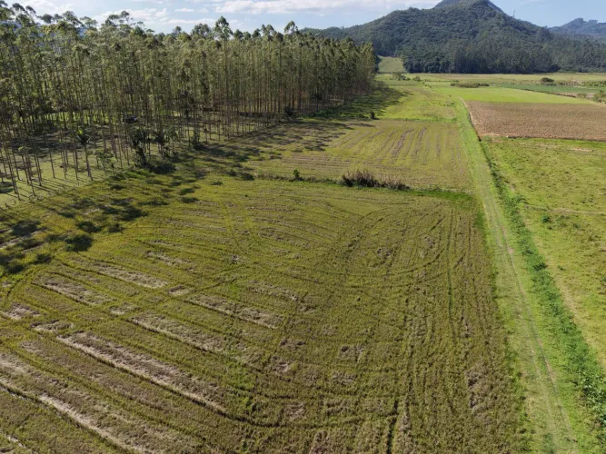 Terreno Rural com pastagens, rio e área de plantio em Tijucas