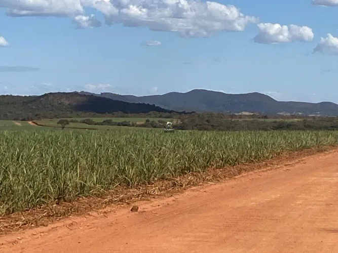 Fazenda à venda, 3 quartos, 10 vagas, Centro - Goianésia/GO