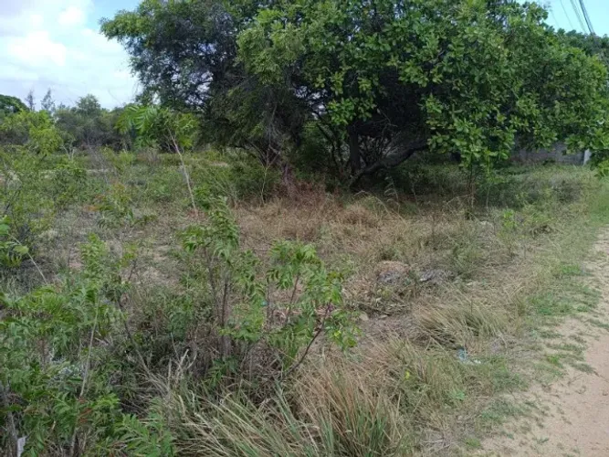TERRENO NA ESTRADA DE PIUM RN-313, PROX. AO POSTO DE COMBUSTÍVEL