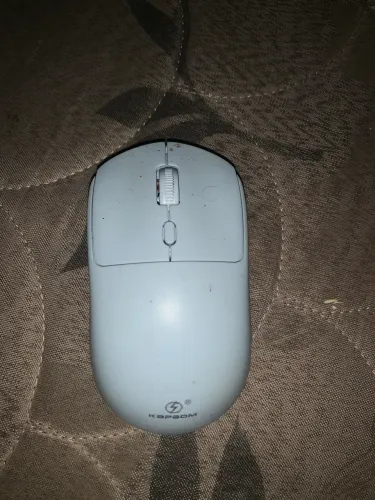 Mouse gamer