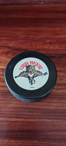 Puck de Hockey Oficial Florida Panthers NHL