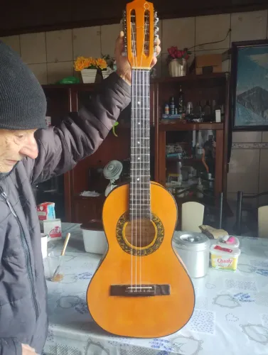 Viola