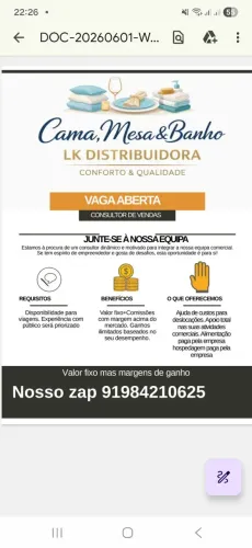 Consultor de vendas