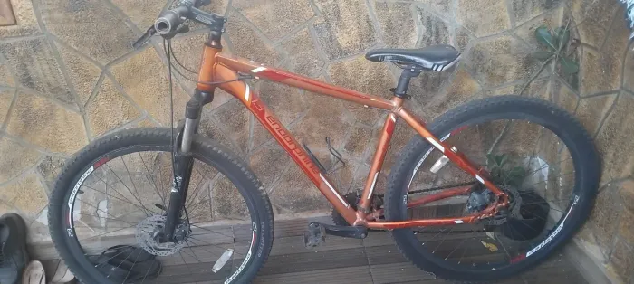 Bicicleta