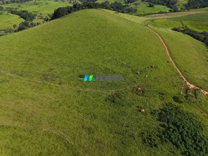 FAZENDA À VENDA - 86,40 HECTARES - SERRO (MG)